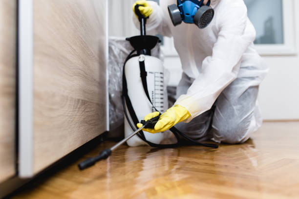 Best Residential Pest Control  in Hayden, CO