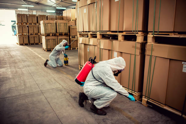 Best Affordable Pest Control Services  in Hayden, CO