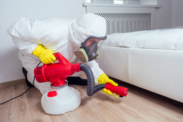 Pest Control for Restaurants in Hayden, CO