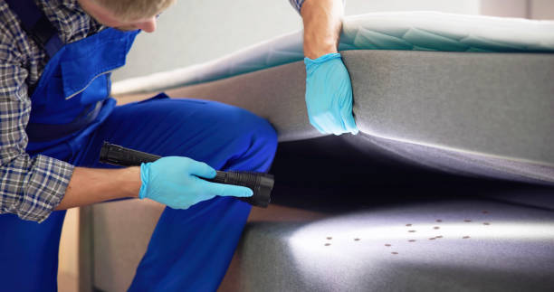 Flea Control Services in Hayden, CO