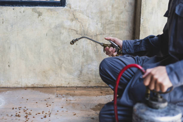 Best Emergency Pest Control  in Hayden, CO